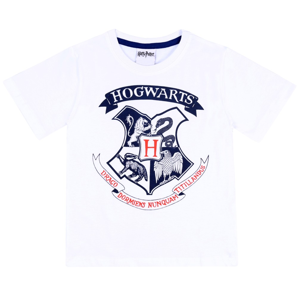 Biała koszulka, t-shirt Hogwarts Harry Potter