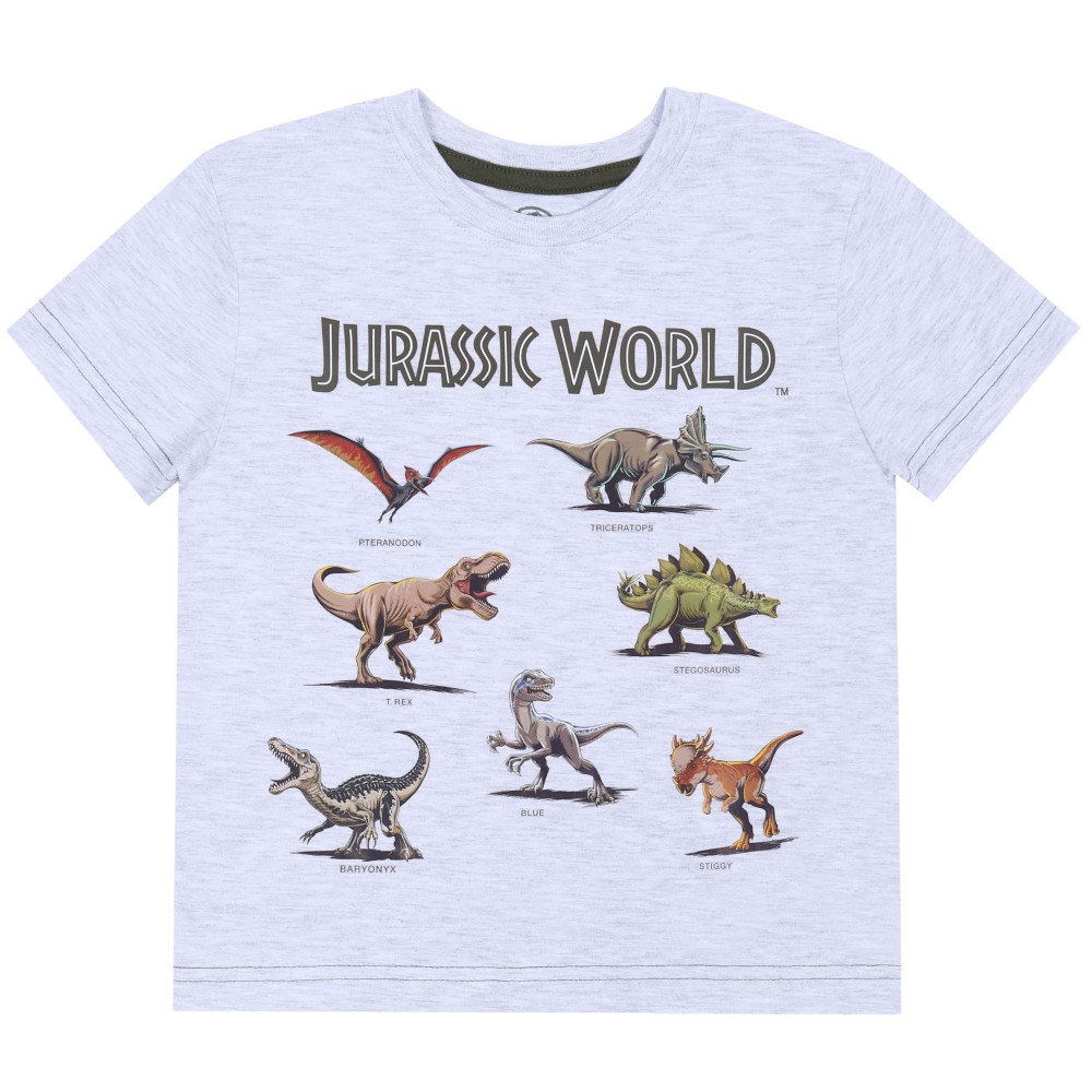 Szara koszulka/t-shirt dinozaury Park Jurajski