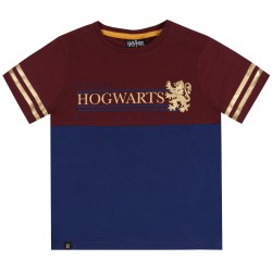 HARRY POTTER Hogwarts Szaro-bordowy letni komplet chłopięcy