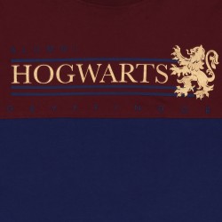 HARRY POTTER Hogwarts Szaro-bordowy letni komplet chłopięcy