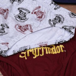 Harry Potter Gryffindor Majtki chłopięce, slipy, zestaw majtek 3 szt. OEKO-TEX