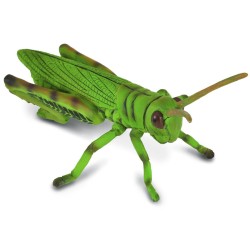 Collecta Zestaw figurek dla dzieci insekty, figurki zwierząt 3+