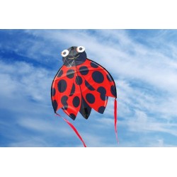 Latawiec X-Kites SkyBugz Biedronka 30x76,2