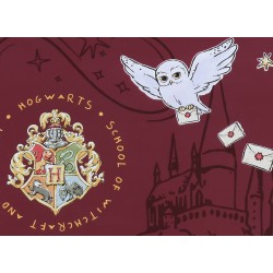 Harry Potter Hedwiga Śniadaniówka, lunchbox na kanapki 17x11x5cm