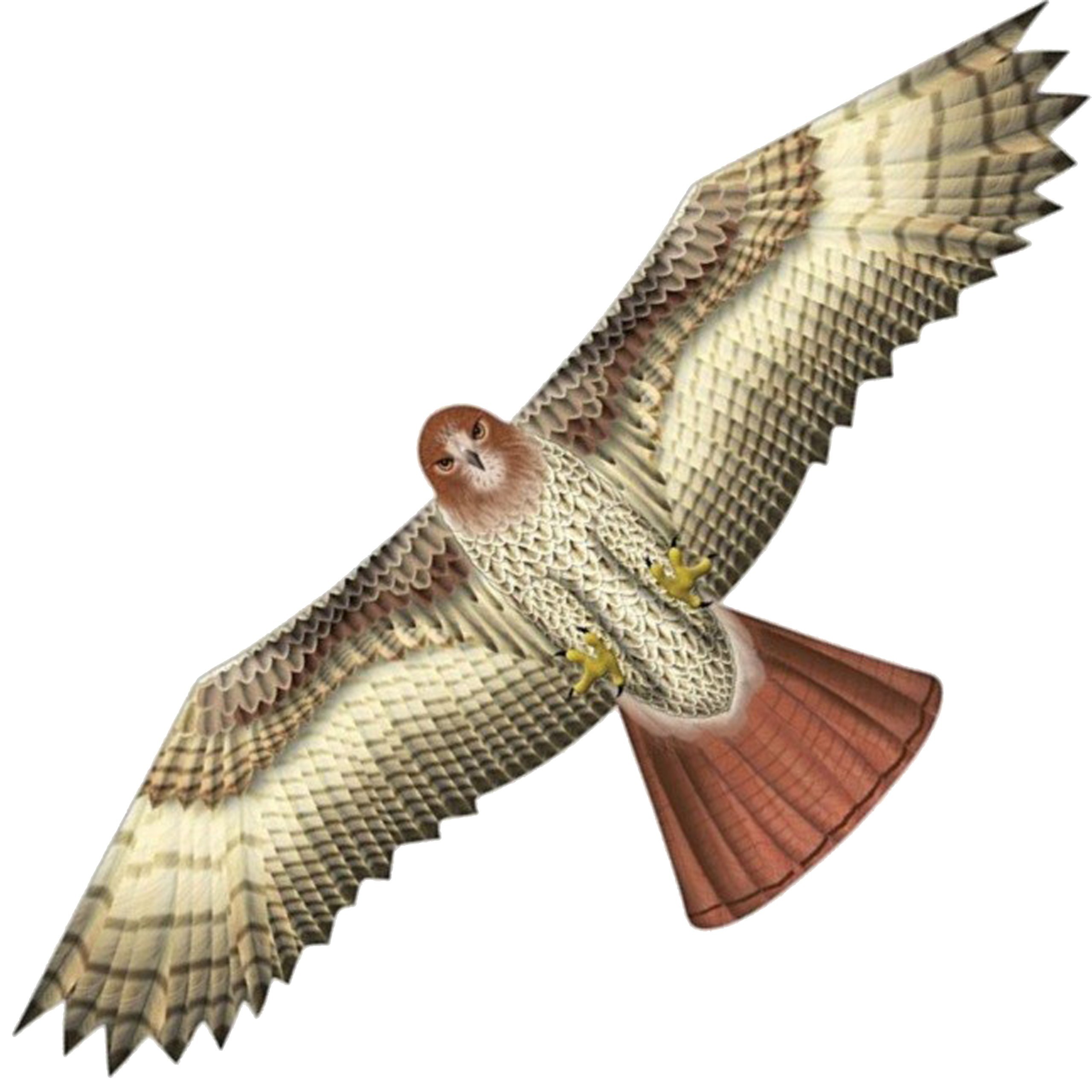 Latawiec Birds of Prey...