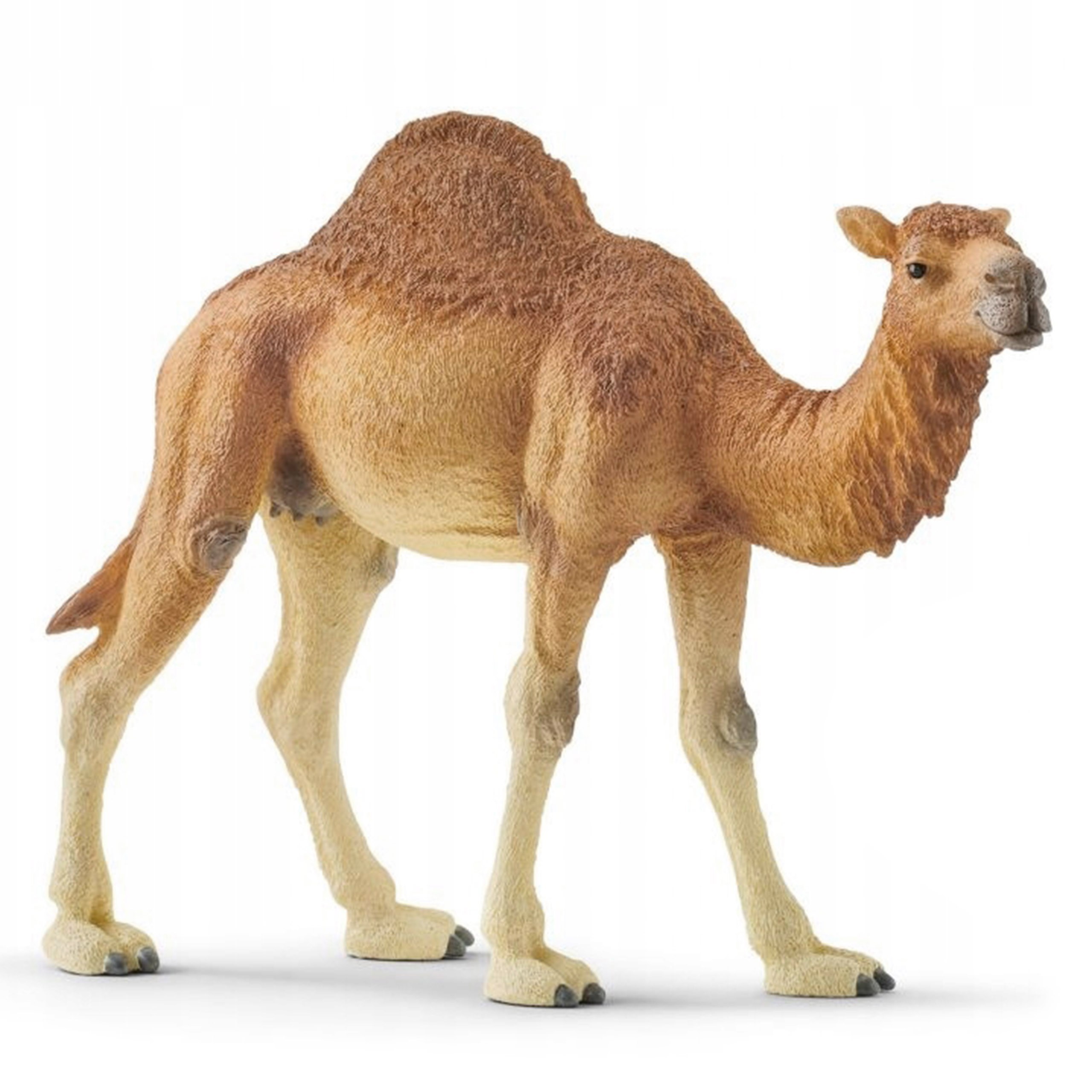 Schleich Wild Life -...