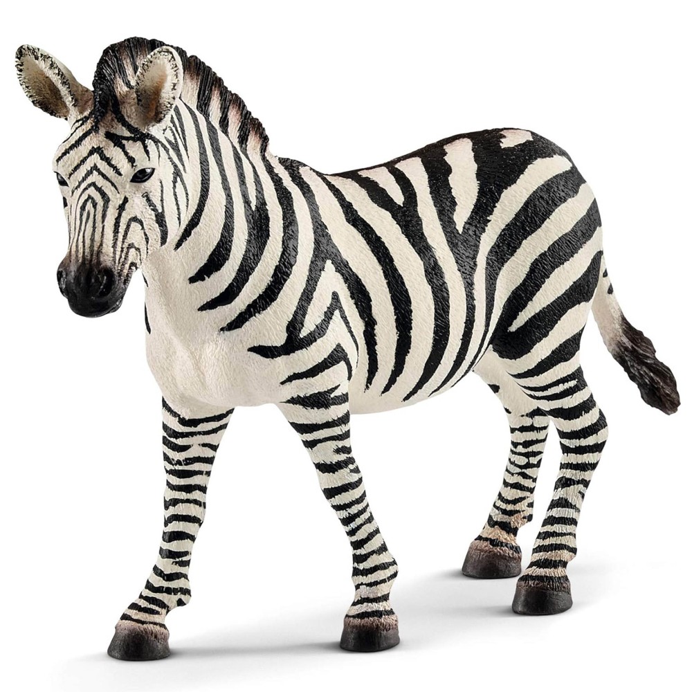 Schleich Wild Life - Zebra samica, figurka dla dzieci 3+