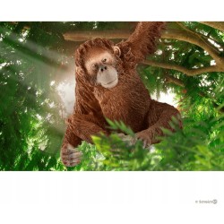 Schleich Wild Life - Orangutan samica, figurka dla dzieci 3+