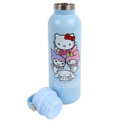 Hello Kitty And Friends stalowy, zakręcany bidon, butelka termiczna, TERMOS 700ml