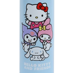 Hello Kitty And Friends stalowy, zakręcany bidon, butelka termiczna, TERMOS 700ml