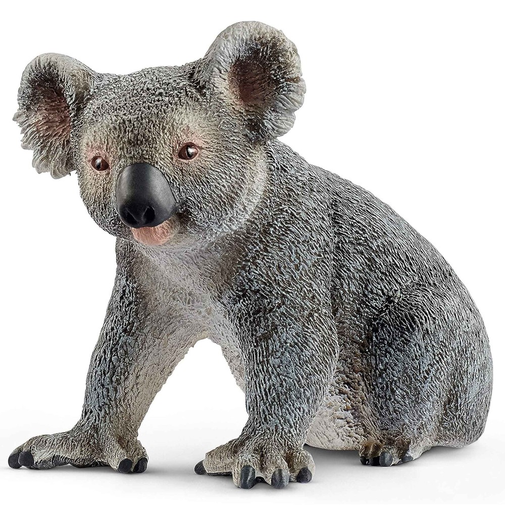 SLH14815 Schleich Wild Life - Miś koala, figurka dla dzieci 3+