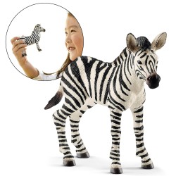 SLH14811 Schleich Wild Life - Młoda zebra, figurka dla dzieci 3+