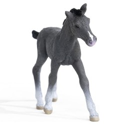 SLH13944 Schleich Horse Club - Źrebię trakeńskie, figurka konia dla dzieci 5+