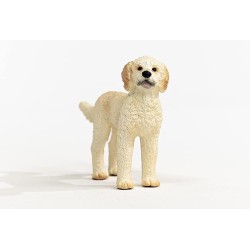 SLH13939 Schleich Farm World - Pies rasy goldendoodle, figurka dla dzieci 3+