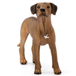 SLH13895 Schleich Farm World - Pies rasa Rhodesian Ridgeback, figurka dla dzieci 3+