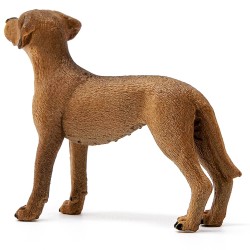 SLH13895 Schleich Farm World - Pies rasa Rhodesian Ridgeback, figurka dla dzieci 3+