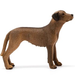 SLH13895 Schleich Farm World - Pies rasa Rhodesian Ridgeback, figurka dla dzieci 3+