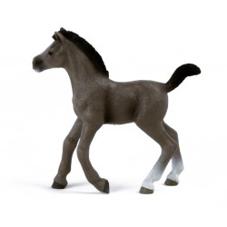 13957 Schleich Horse Club - Źrebię rasy selle francais, figurka dla dzieci 5+