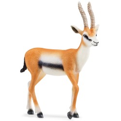 SLH14861 Schleich Wild Life - Gazela Thomsona, figurka dla dzieci 3+