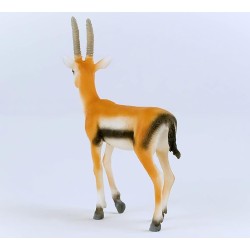 SLH14861 Schleich Wild Life - Gazela Thomsona, figurka dla dzieci 3+