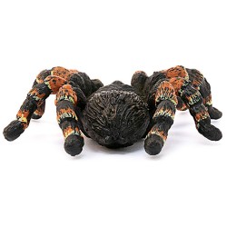 SLH14829 Schleich Wild Life - Pająk Tarantula, Ptasznik, figurka dla dzieci 3+