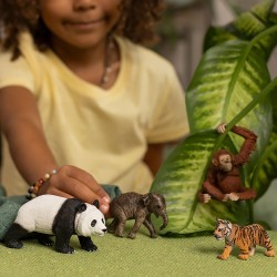 SLH42736 Schleich Wild Life - Zestaw czterech dzikich zwierząt na start, Azja, figurka dla dzieci 3+