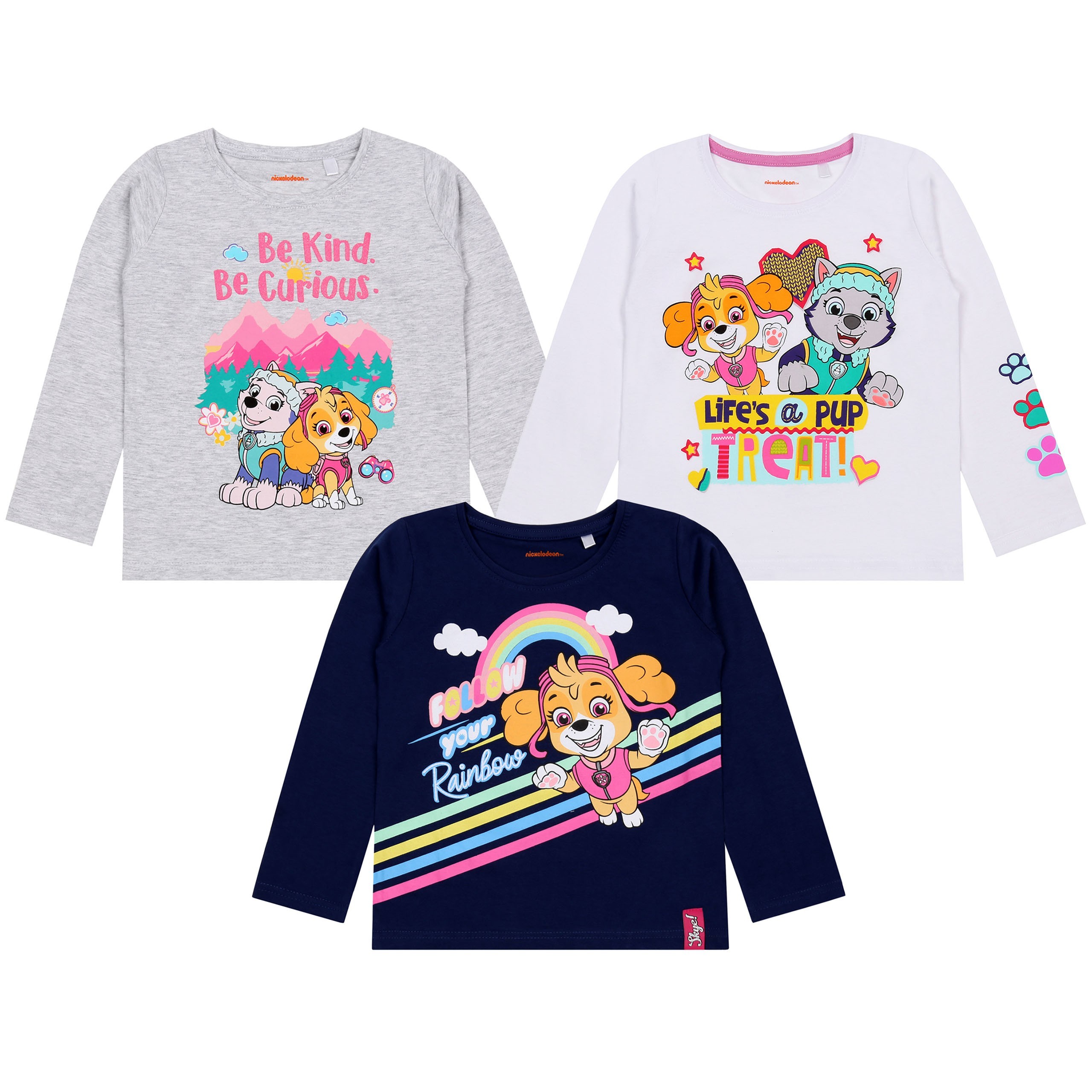 Psi Patrol Skye Everest...