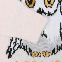 Harry Potter Hedwiga Ecru sweter dziewczęcy, z długimi rękawami, ciepły